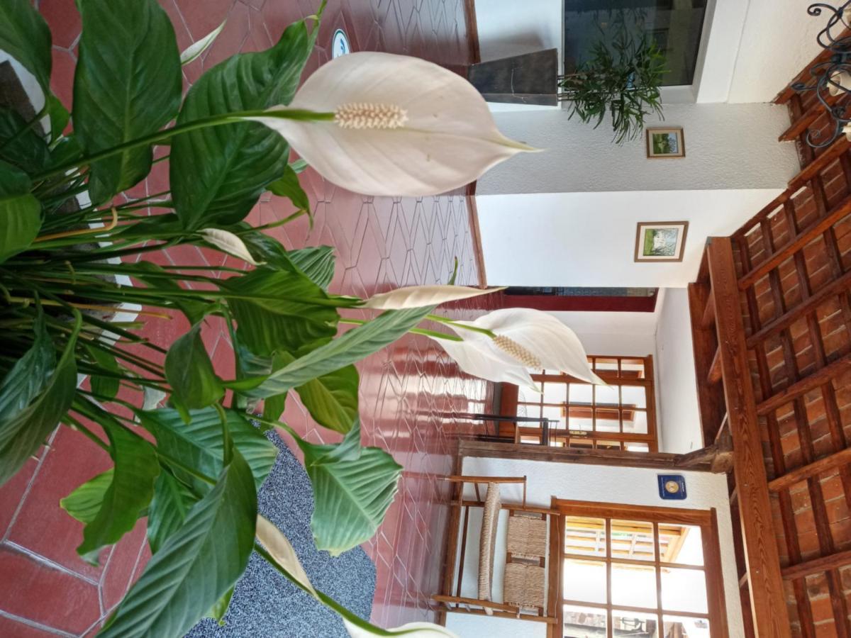 Hotel La Posta del Dayman Termas del Daymán Esterno foto